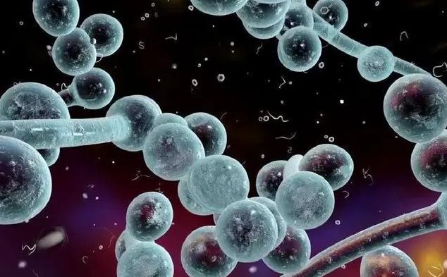 消毒和灭菌的区别及微生物检测中常用的灭菌和消毒方法汇总