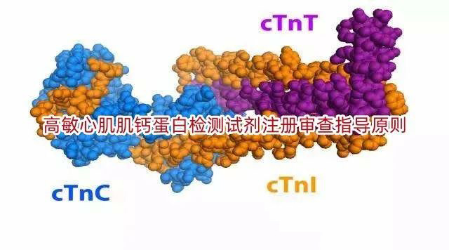 高敏心肌肌钙蛋白检测试剂.jpg