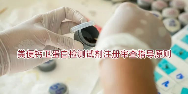 粪便钙卫蛋白检测试剂注册审查指导原则