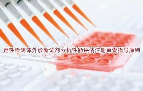 定性检测体外诊断试剂.jpg