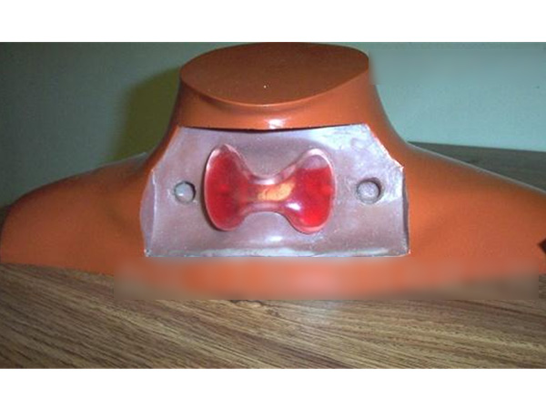 RS-542美国RSD甲状腺模体