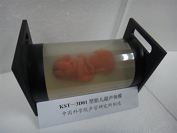 KS107—3D体模2-600.jpg